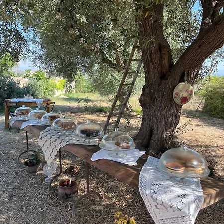 Bacula Nzicula Bed & Breakfast